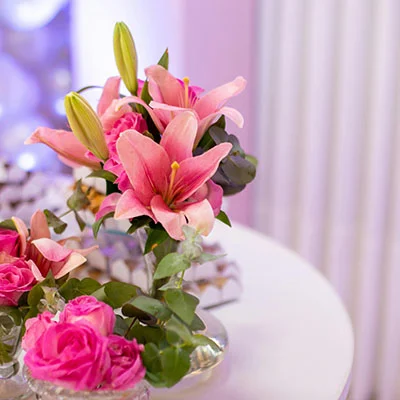 9月27日|22.4M/S，SSR节点/Shadowrocket节点/V2ray节点/Clash节点|免费订阅机场|每天更新免费梯子